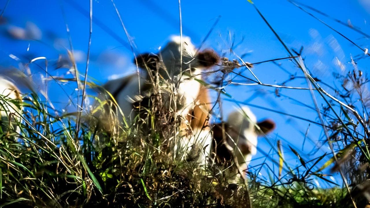 Ferienwohnung - A Auszeit Neumarkt in Steiermark Exteriér fotografie